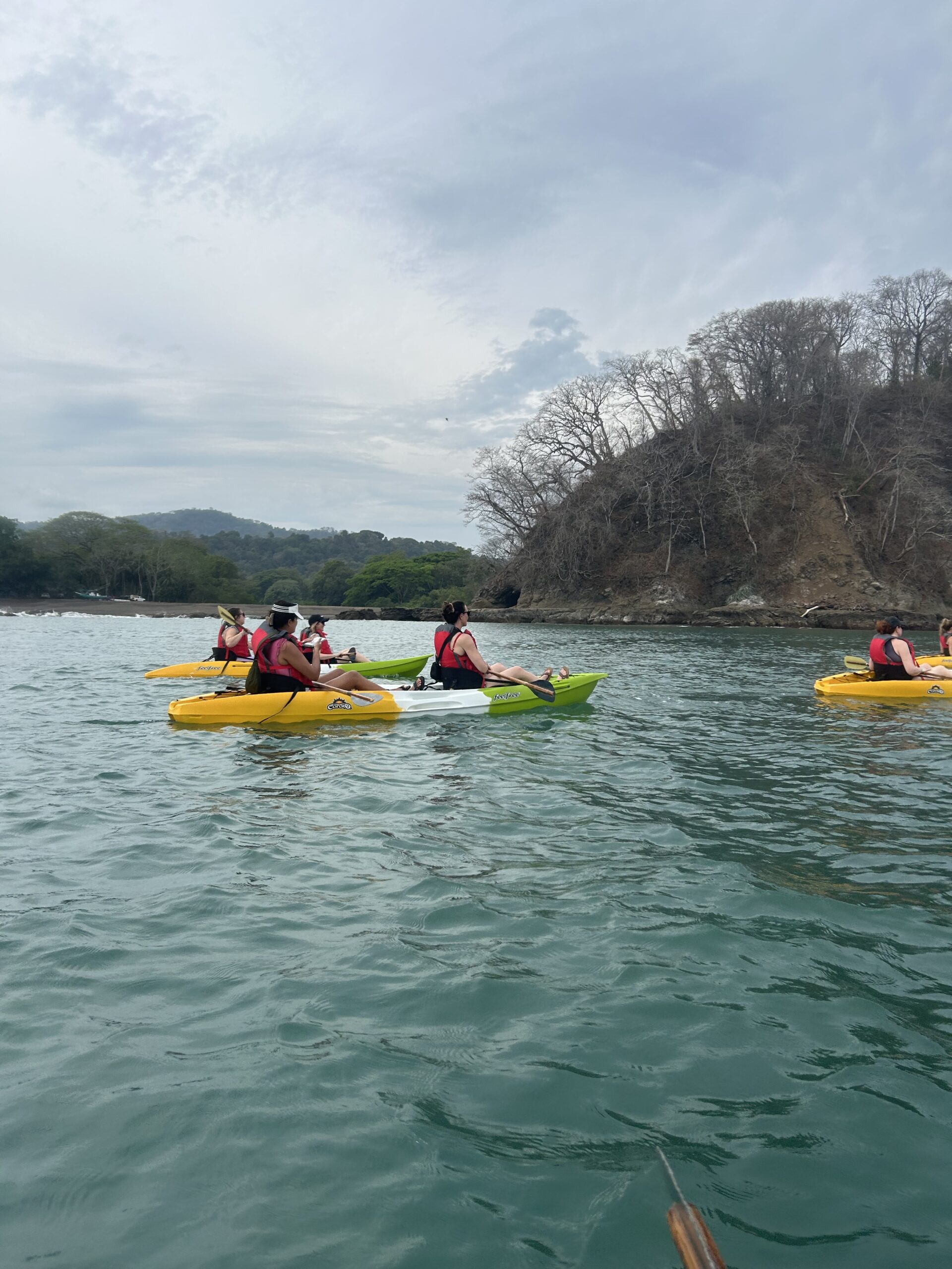 Several women kayaking together on a sunny day.